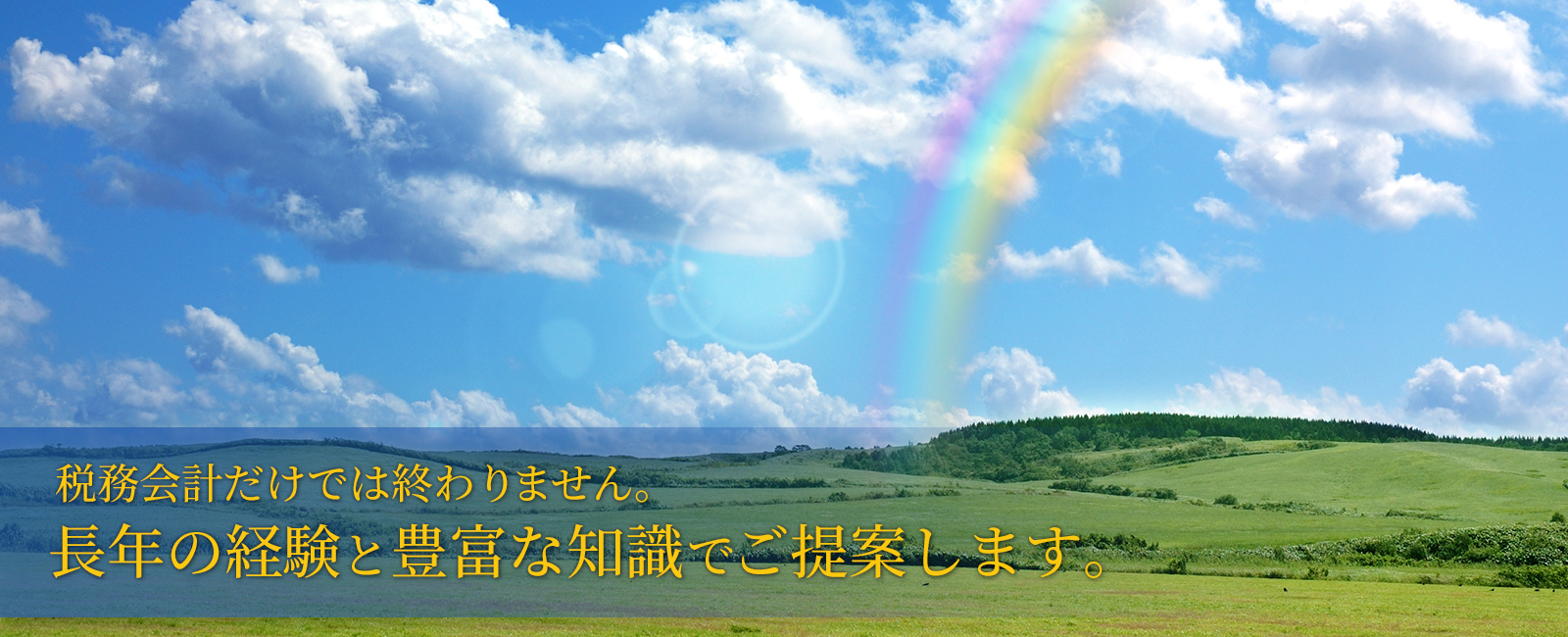 税務会計だけでは終わりません。長年の経験と豊富な知識でご提案します
